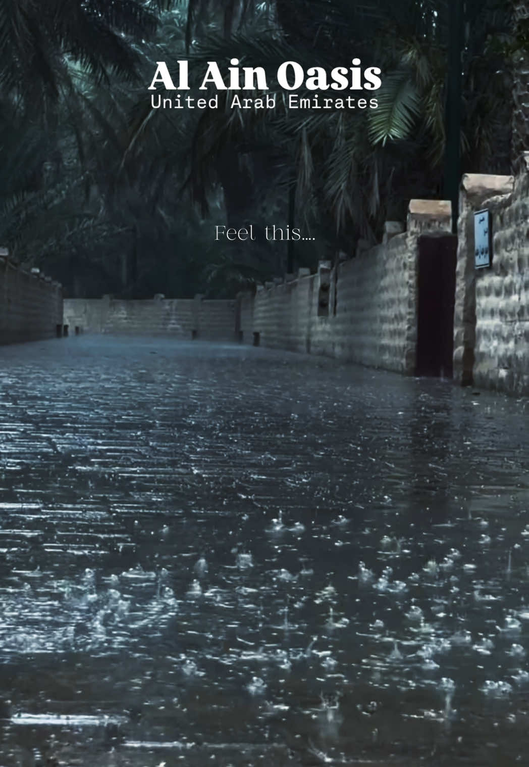 Al Ain Oasis