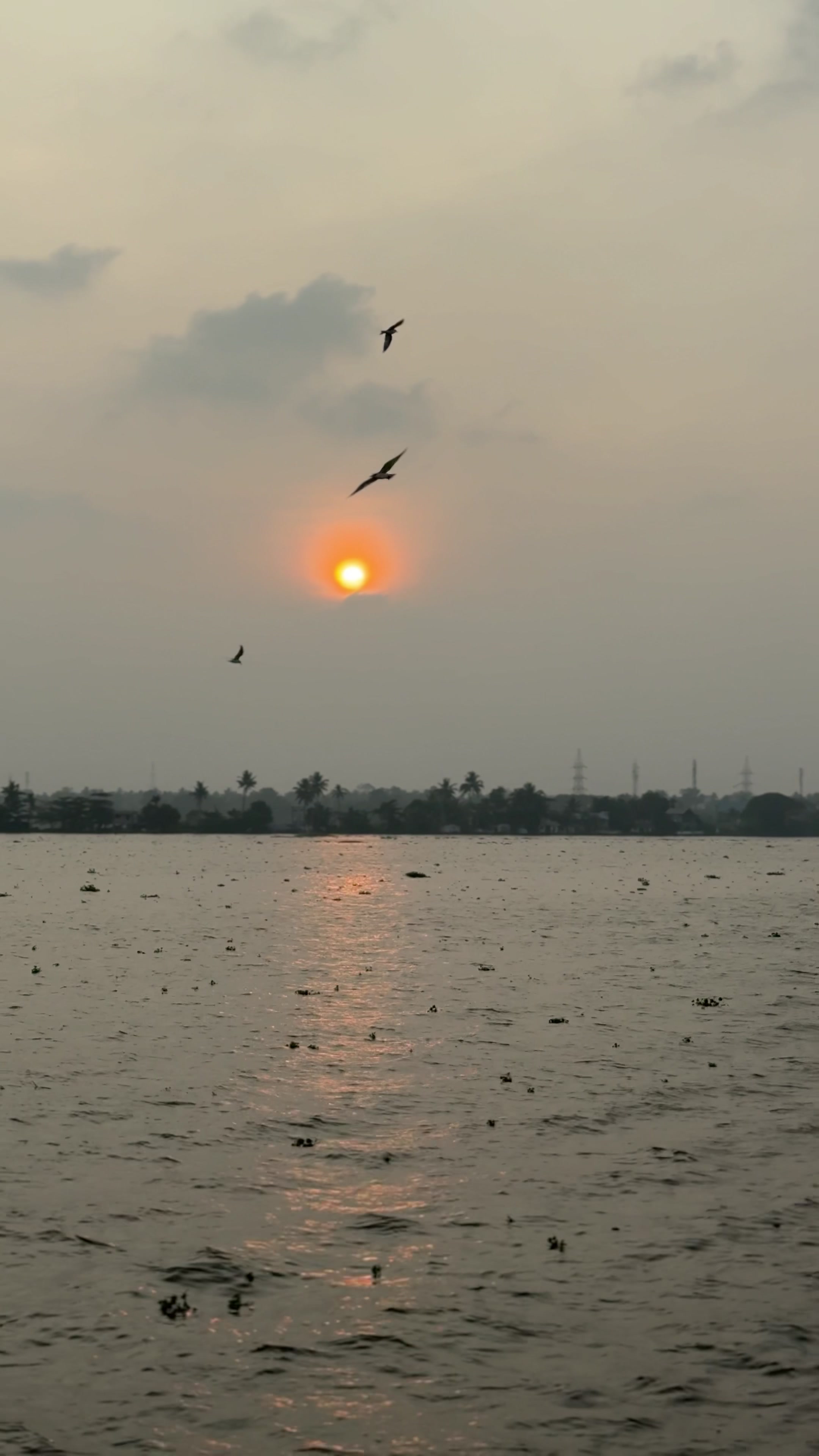 Alappuzha (Alleppey Backwaters)