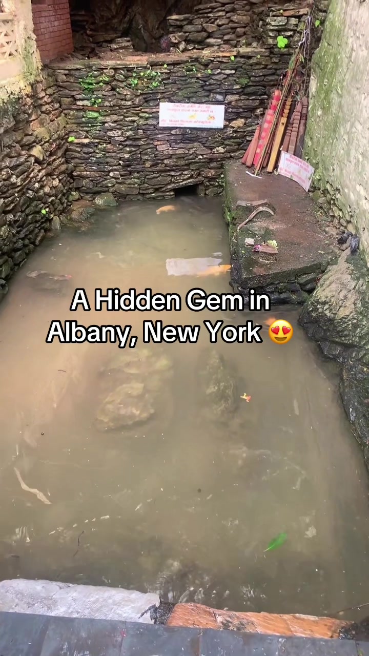 Albany