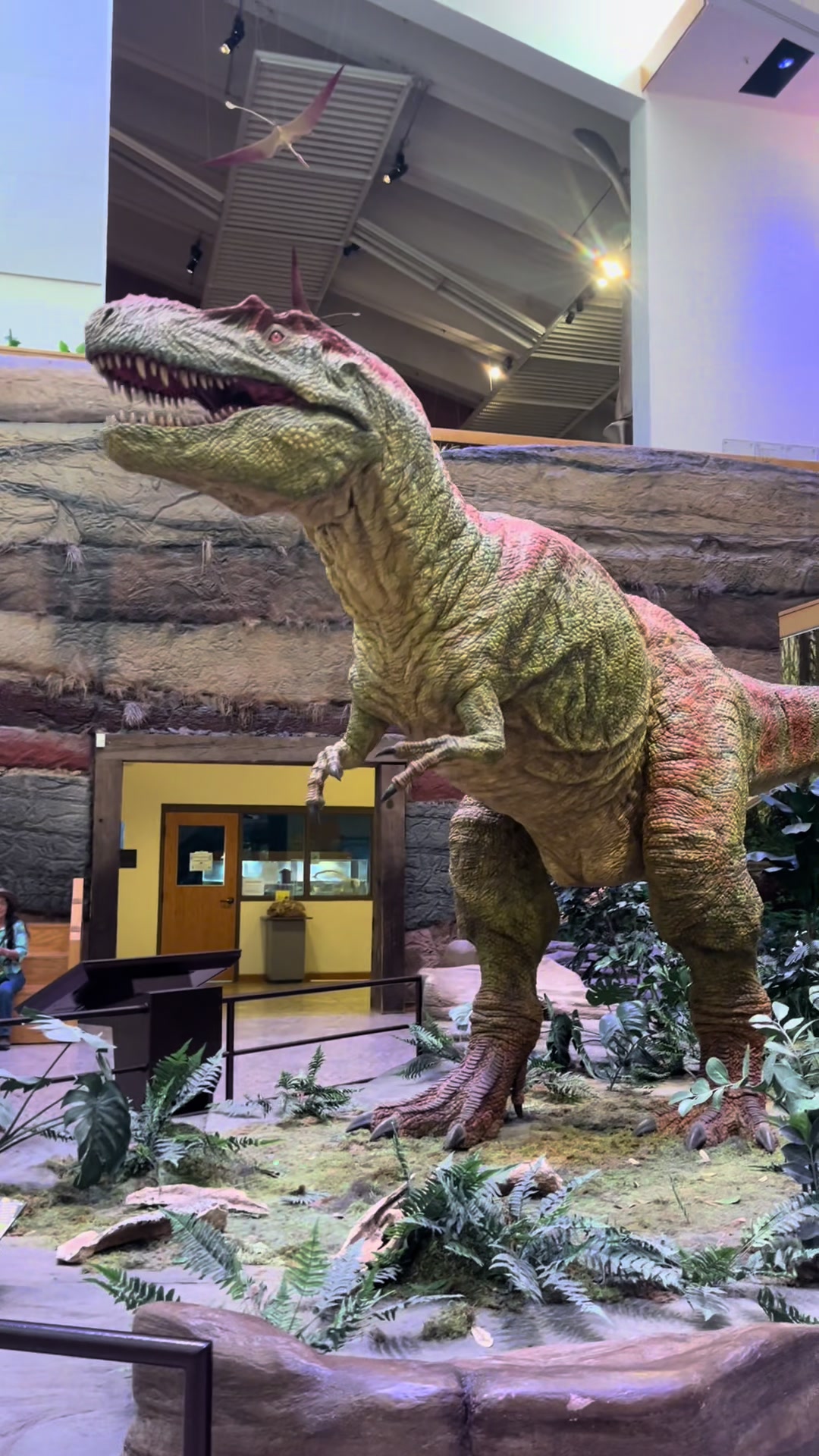 Albuquerque, New Mexico