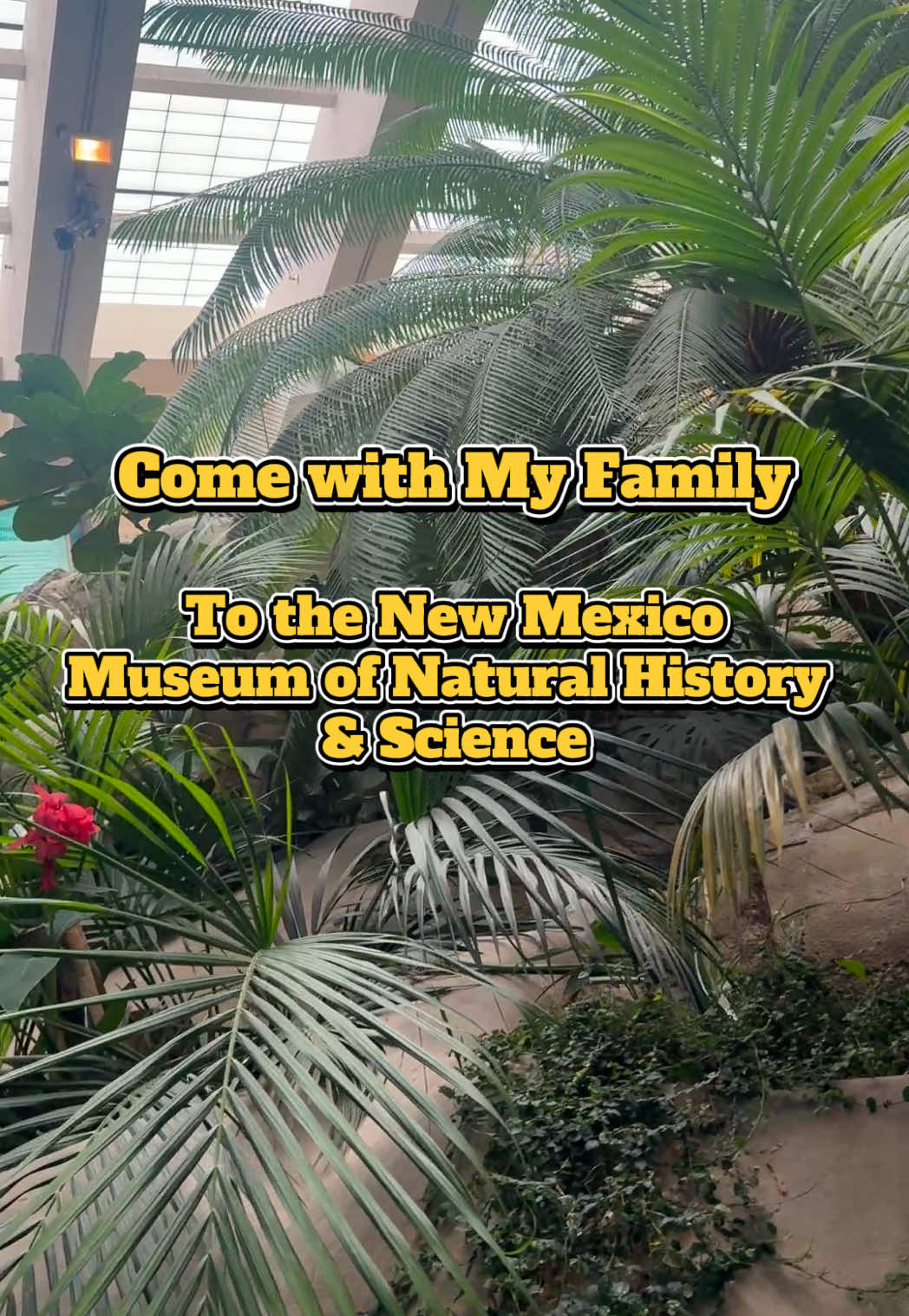Albuquerque