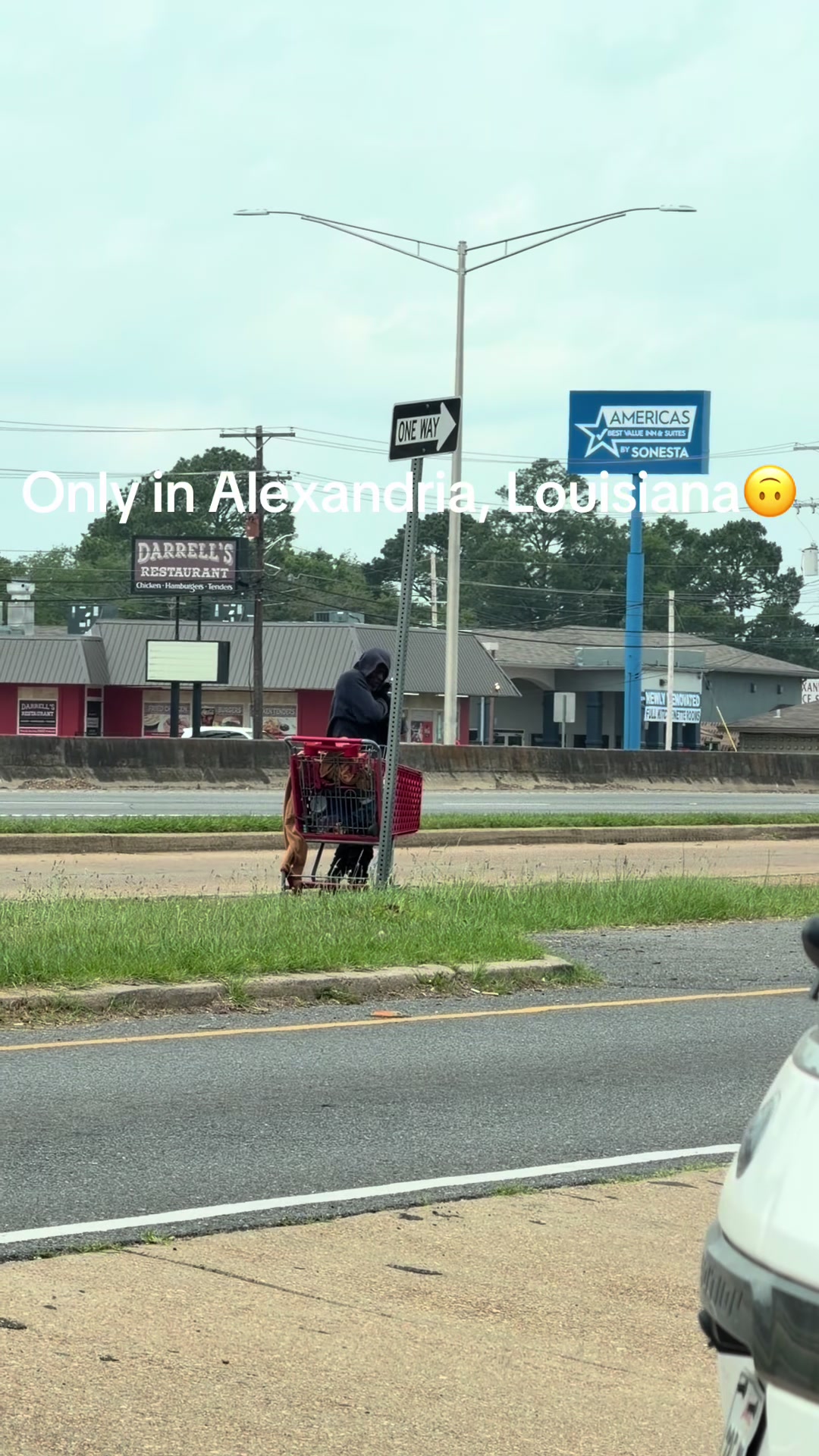 Alexandria