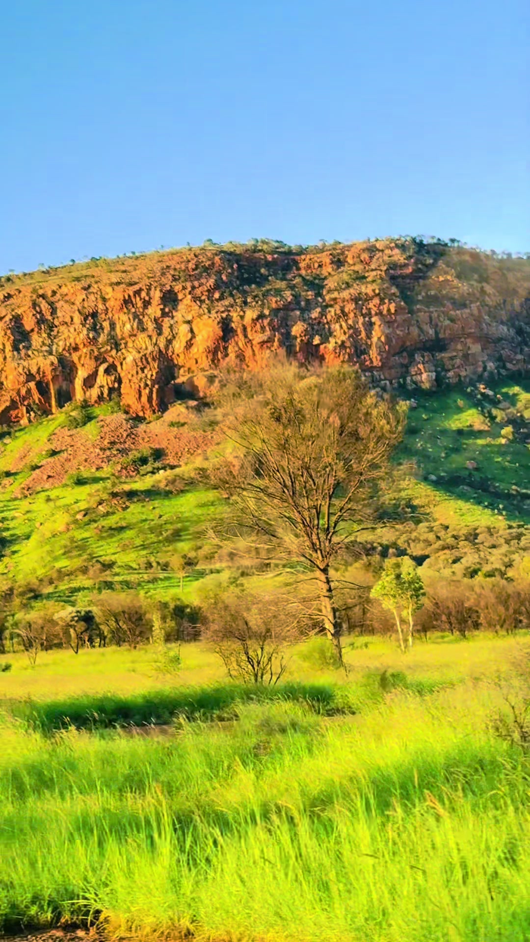 Alice Springs