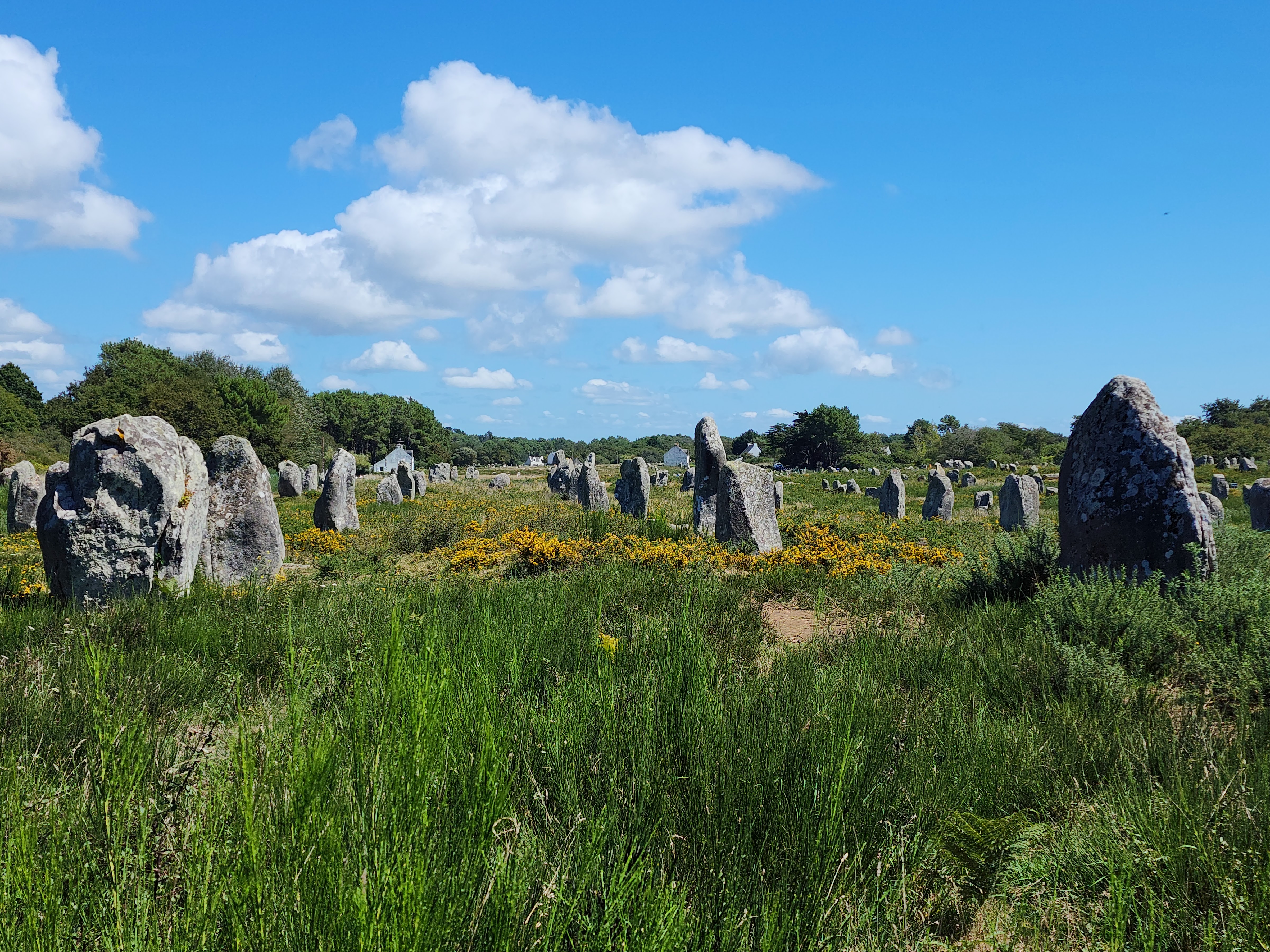 Carnac Stones (Alignments)
