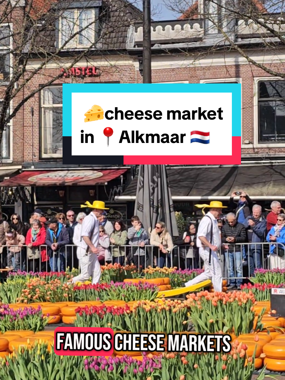 Алкмар — Сырный рынок