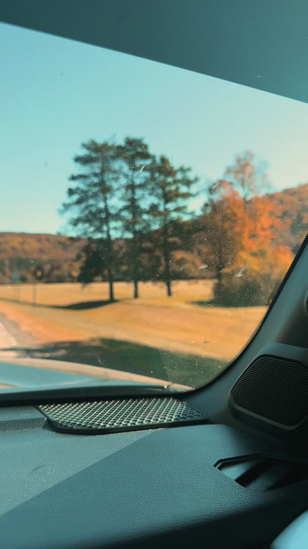 Allegany State Park