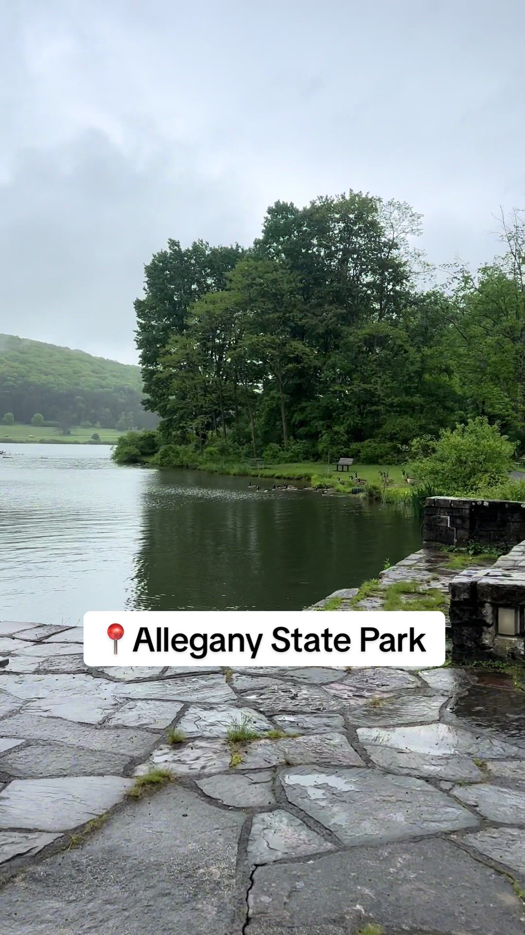 Allegany State Park