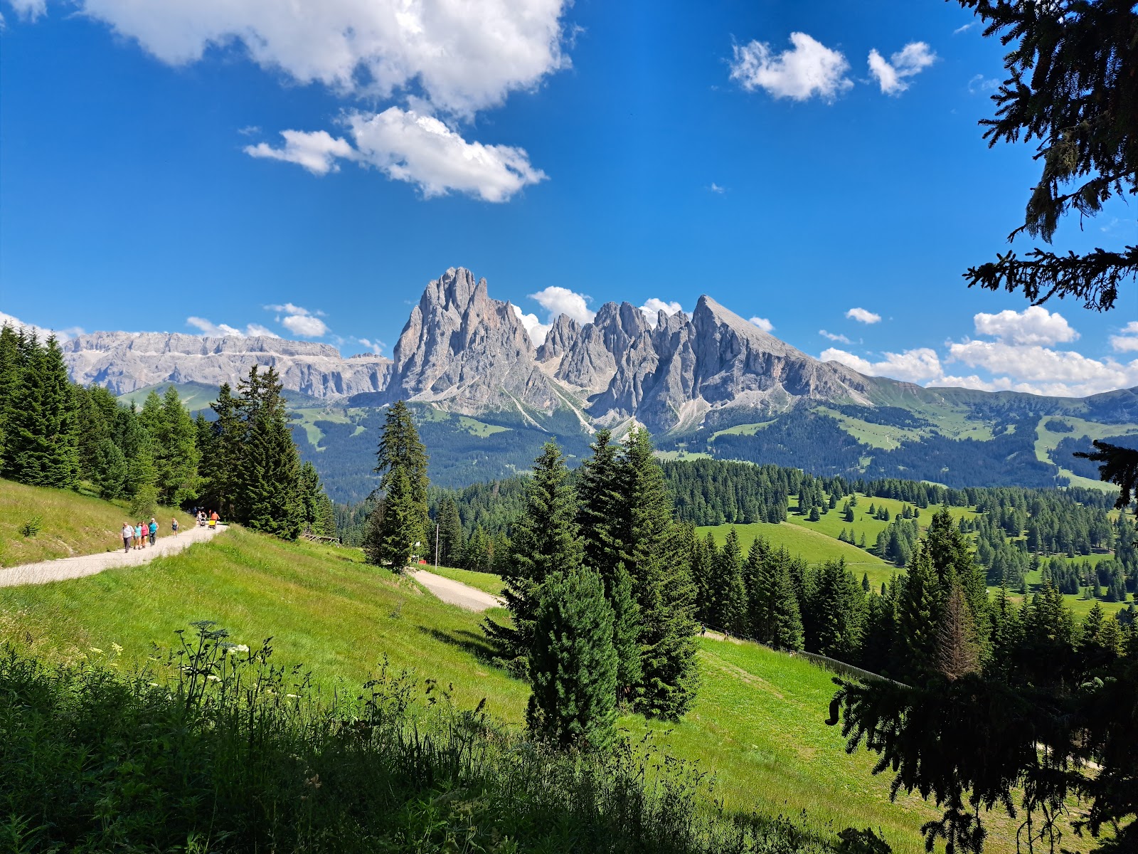 Alpe di Siusi
