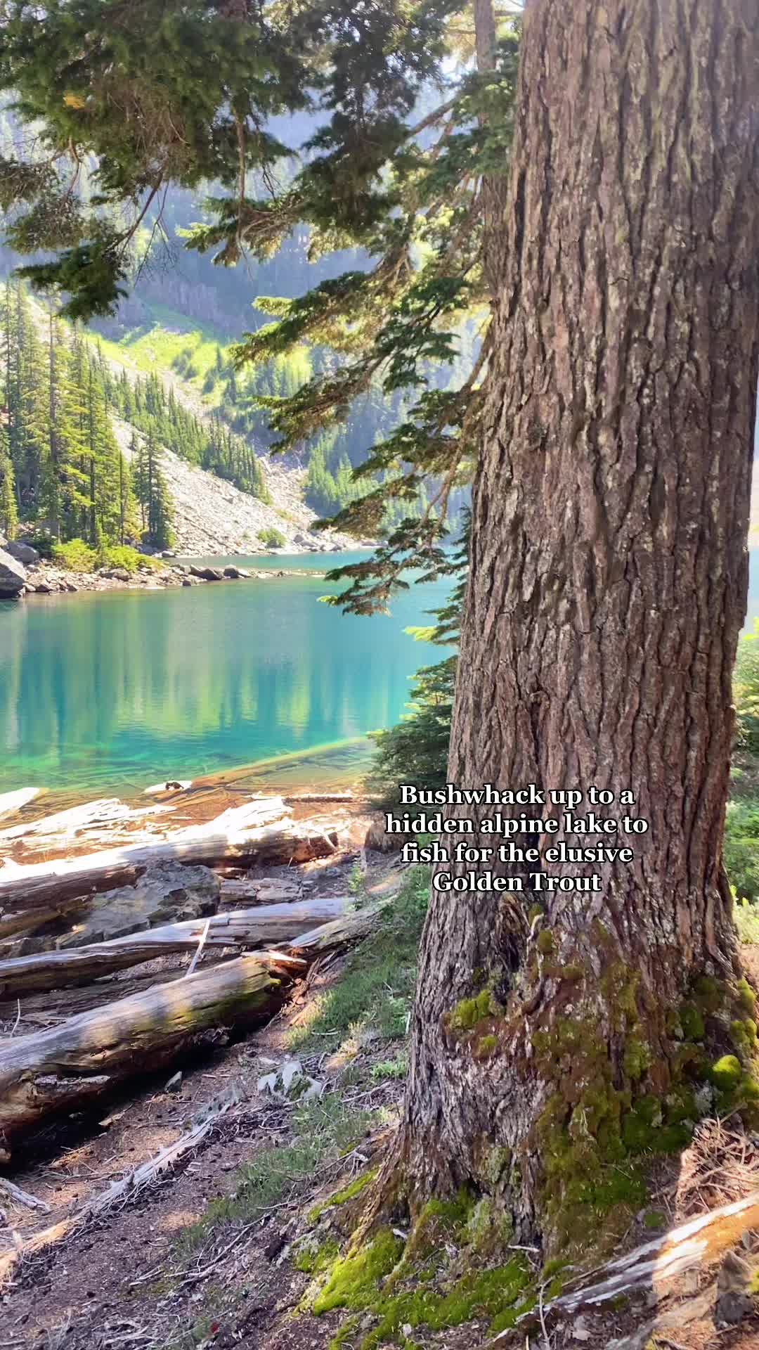 Alpine Lakes Wilderness