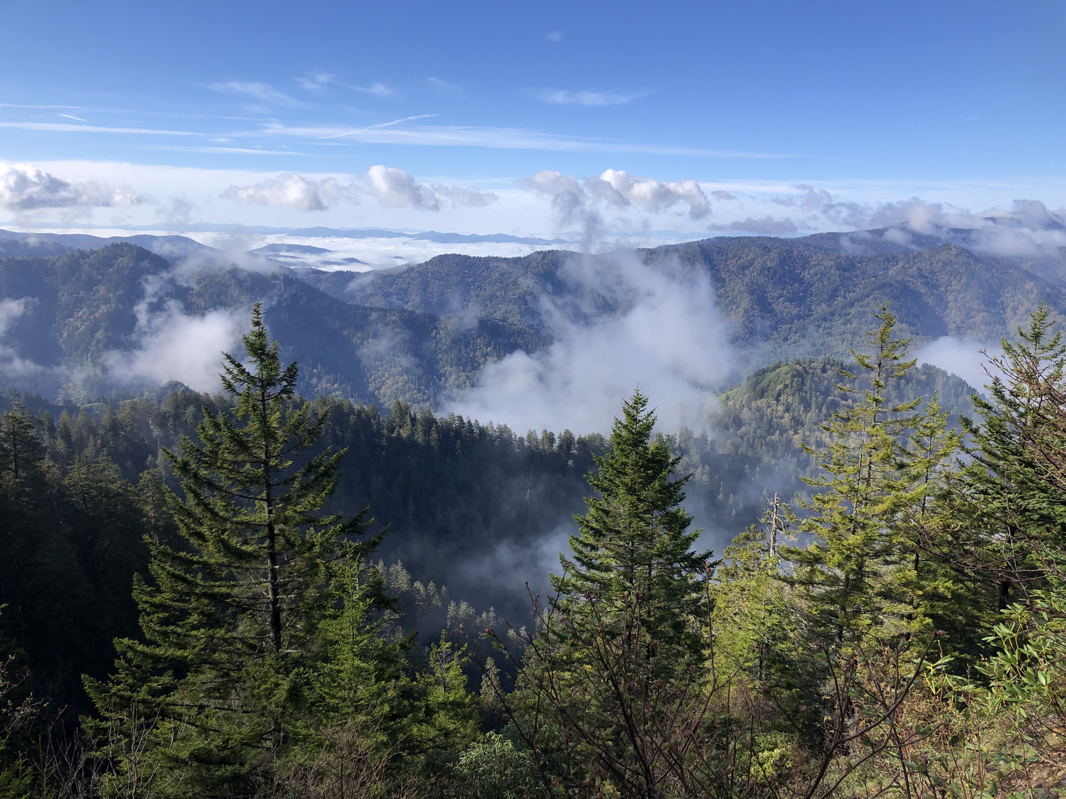 Alum Cave Trailhead (Mt. LeConte hike)