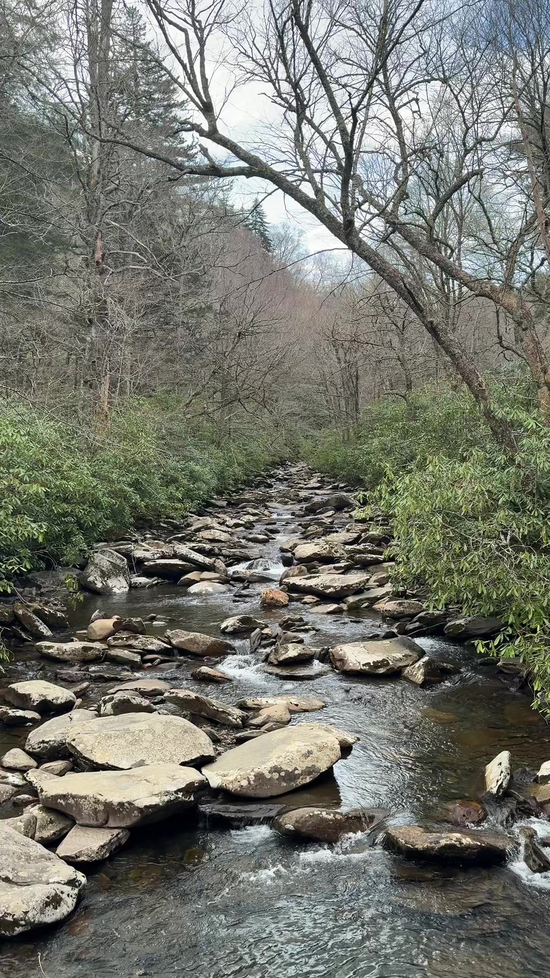 Alum Cave Trailhead (Great Smoky Mountains National Park)