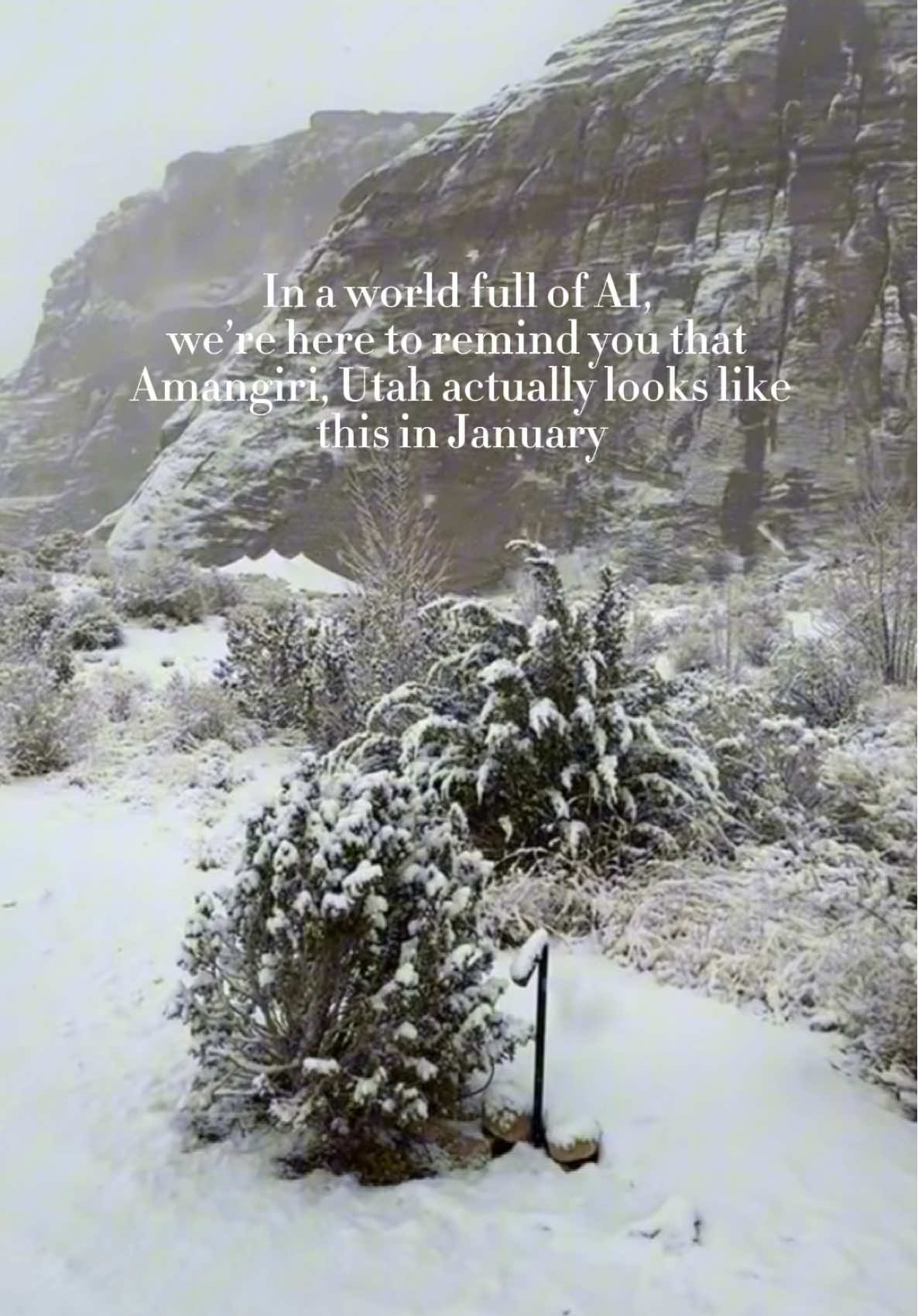 winter