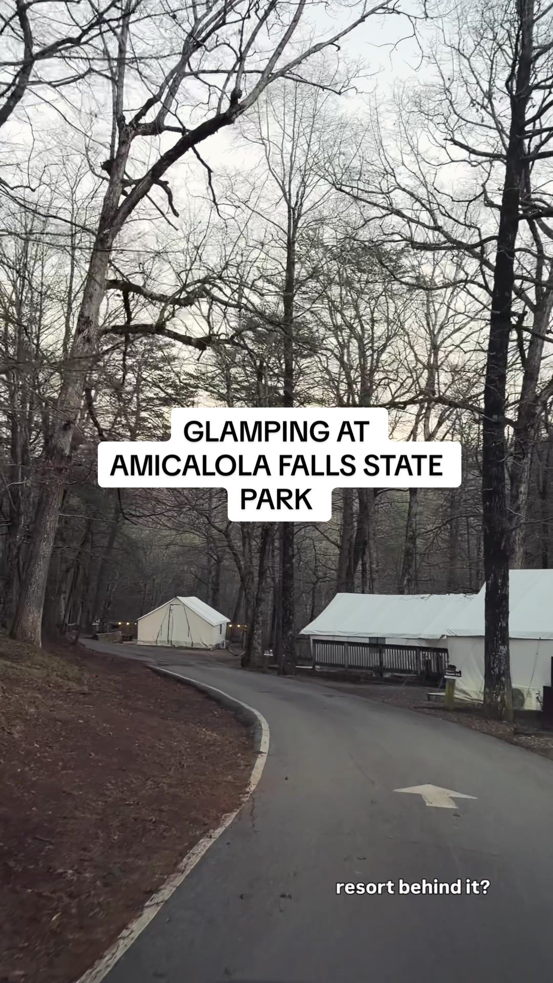 Amicalola Falls State Park