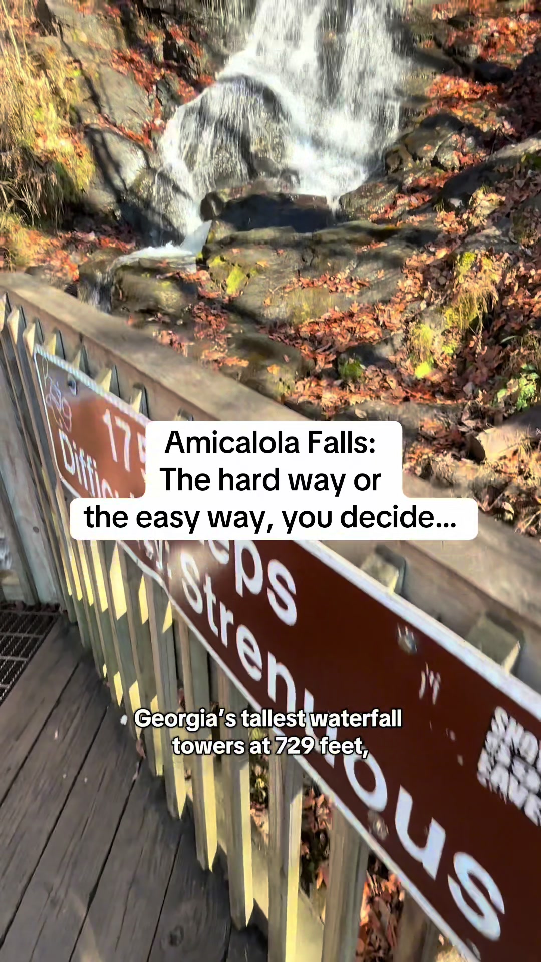 Amicalola Falls State Park