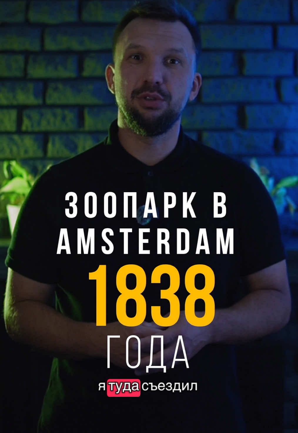 Амстердам — Зоопарк ARTIS