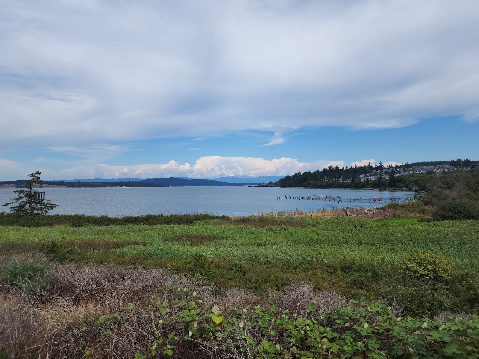 Anacortes