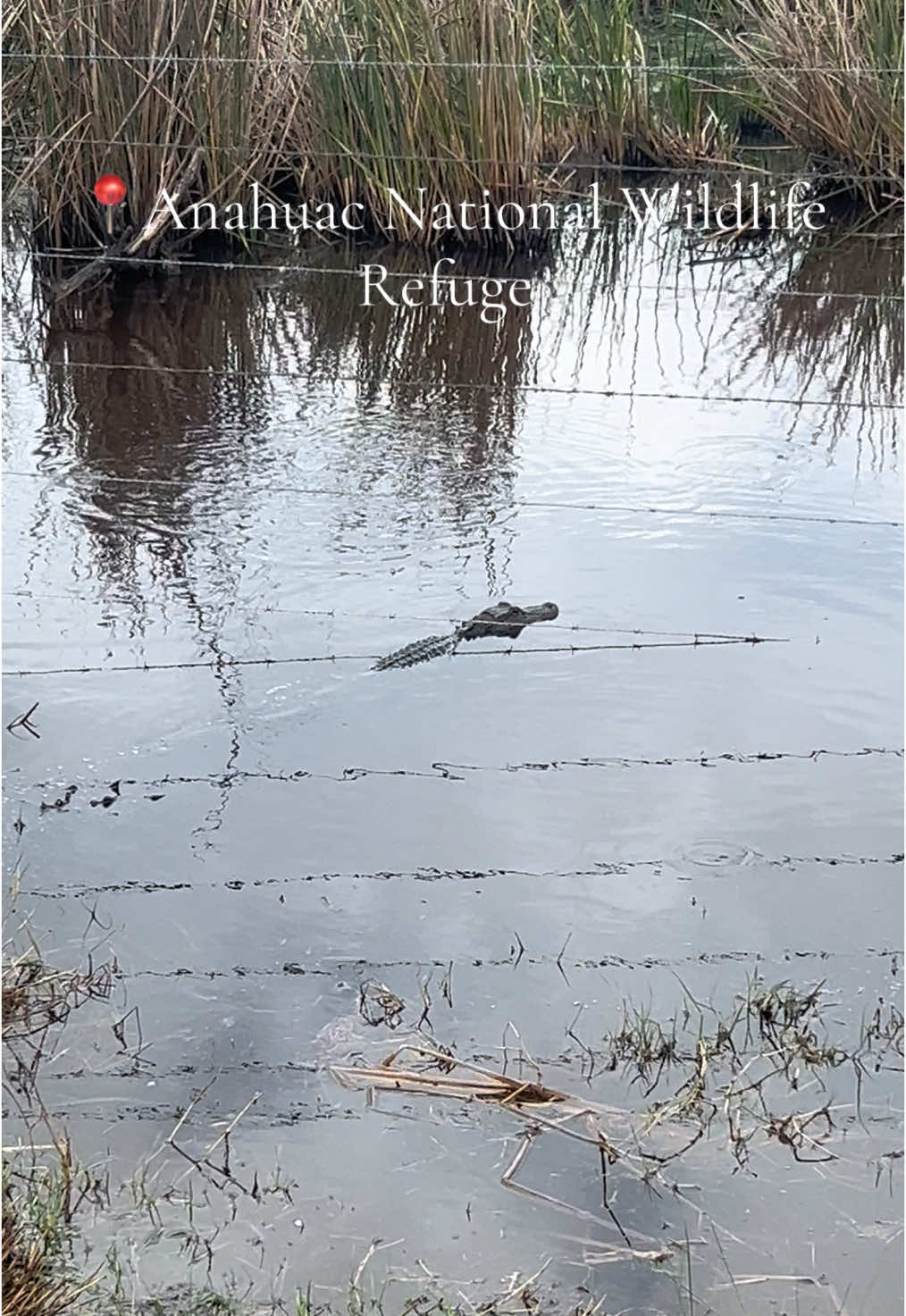 Anahuac National Wildlife Refuge