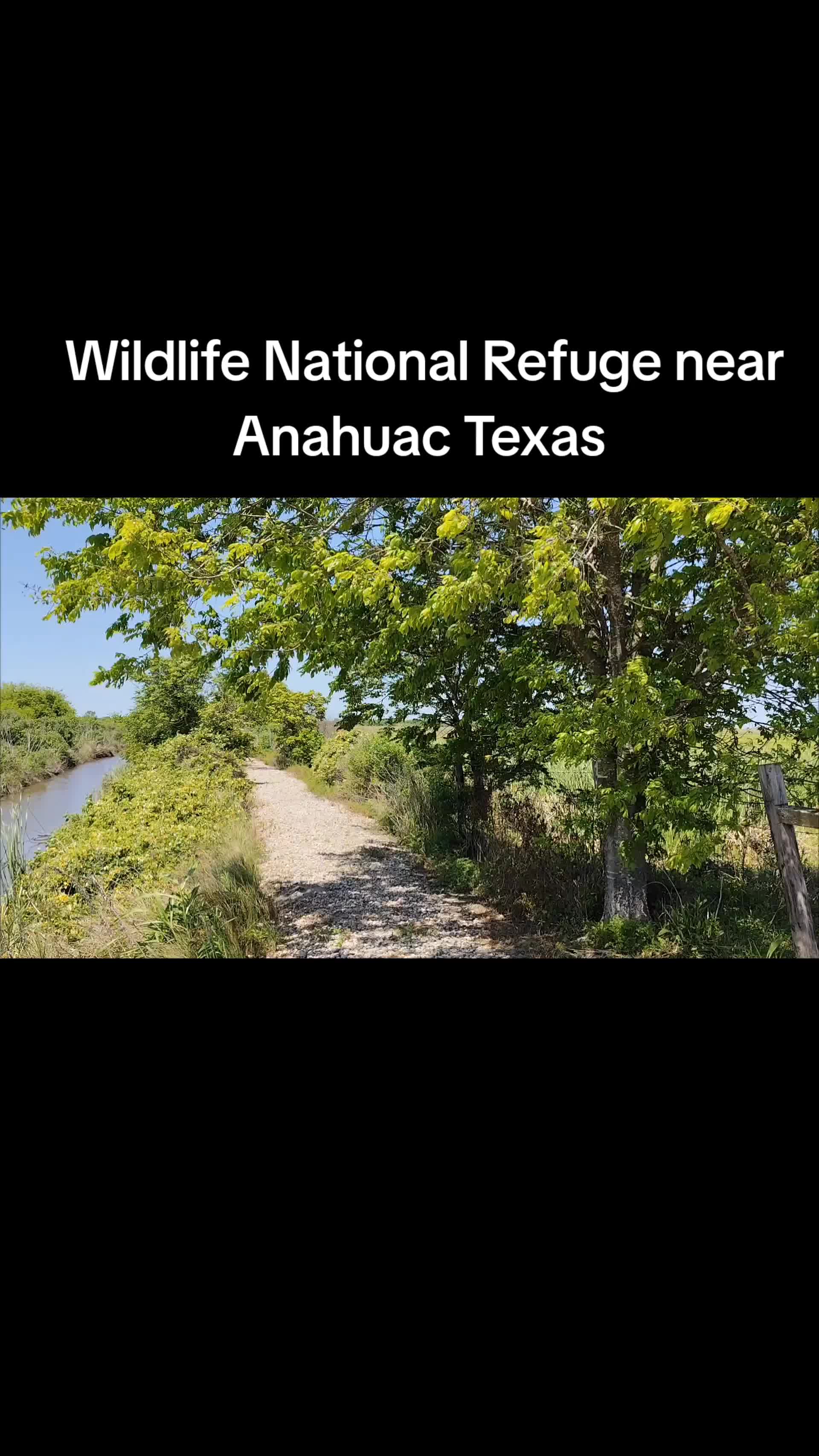Anahuac National Wildlife Refuge