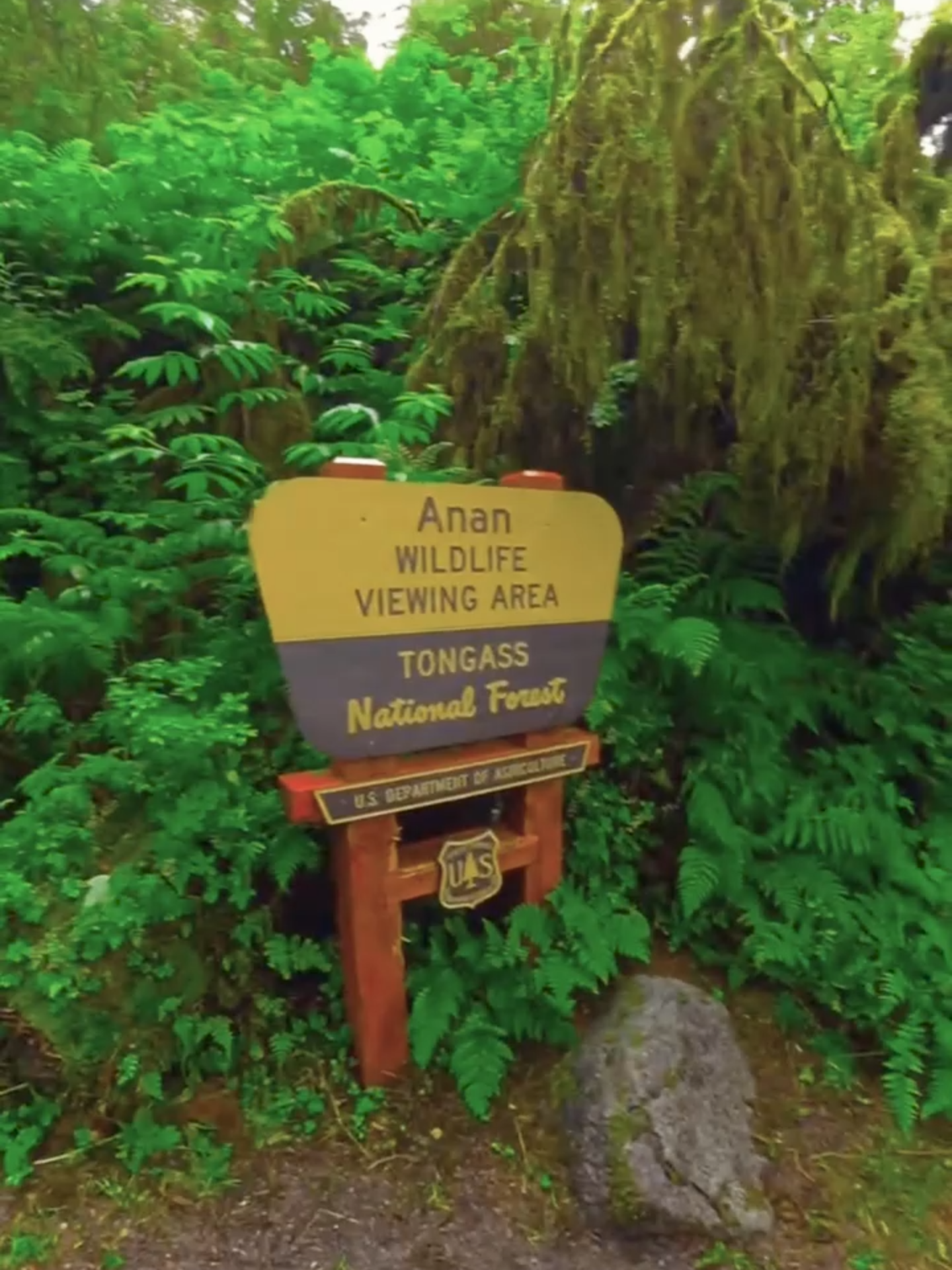 Anan Wildlife Observatory