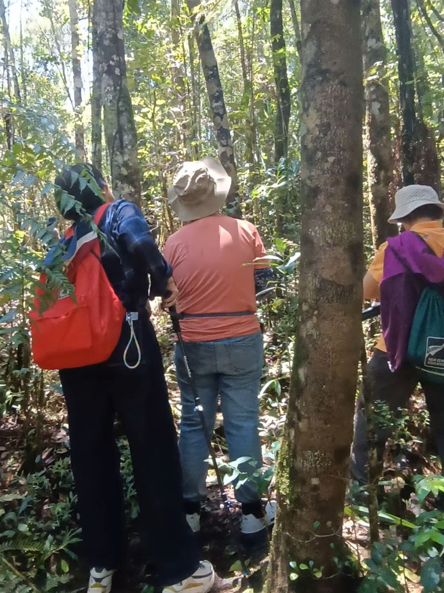 Andasibe-Mantadia National Park