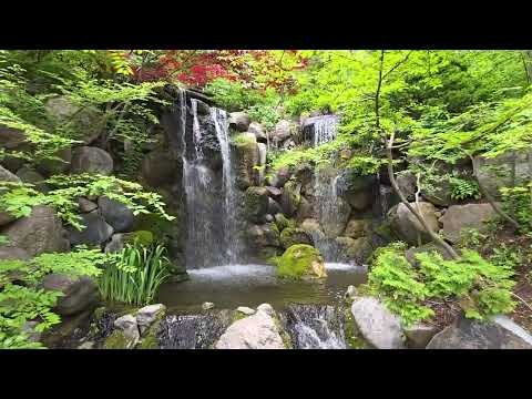 Anderson Japanese Gardens