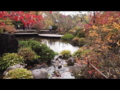 Anderson Japanese Gardens