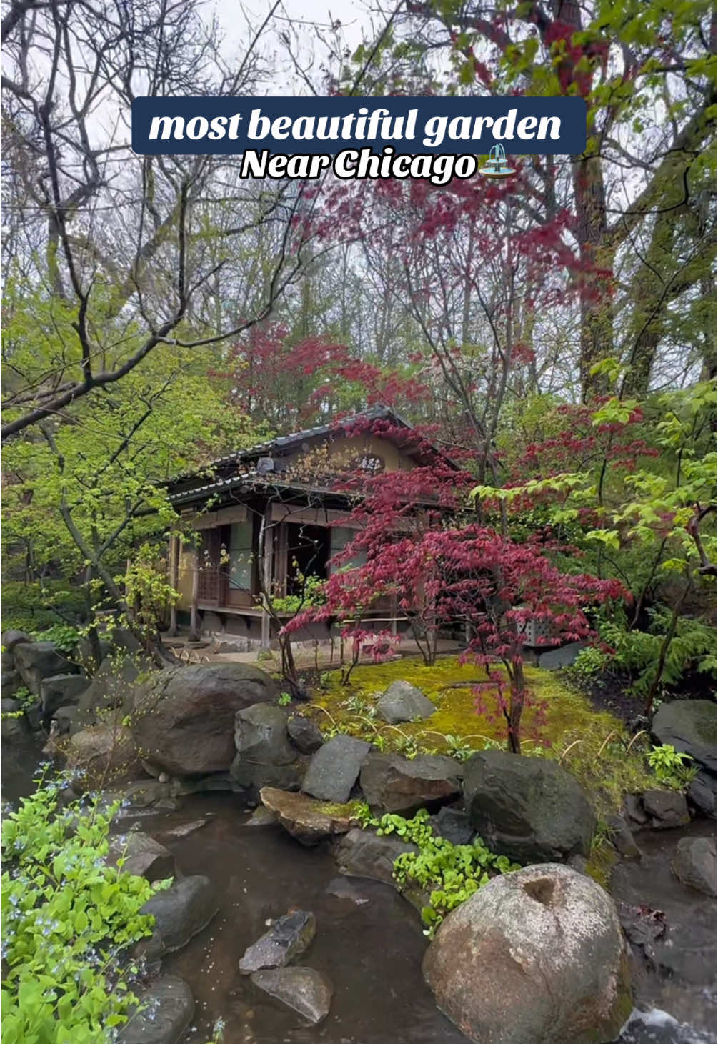 Anderson Japanese Gardens