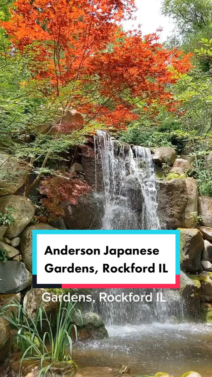 Anderson Japanese Gardens