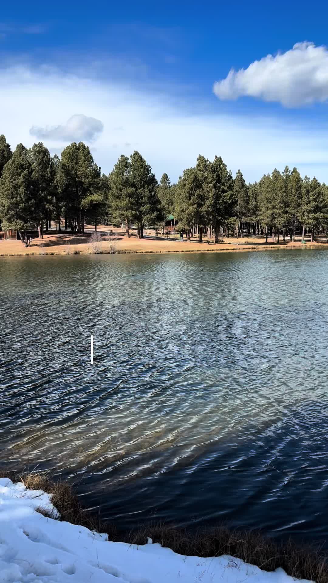 Angel Fire