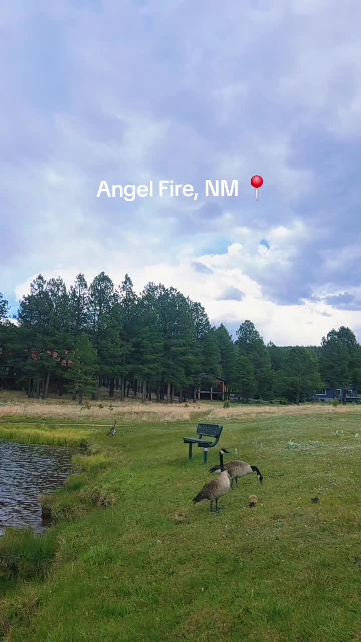 Angel Fire