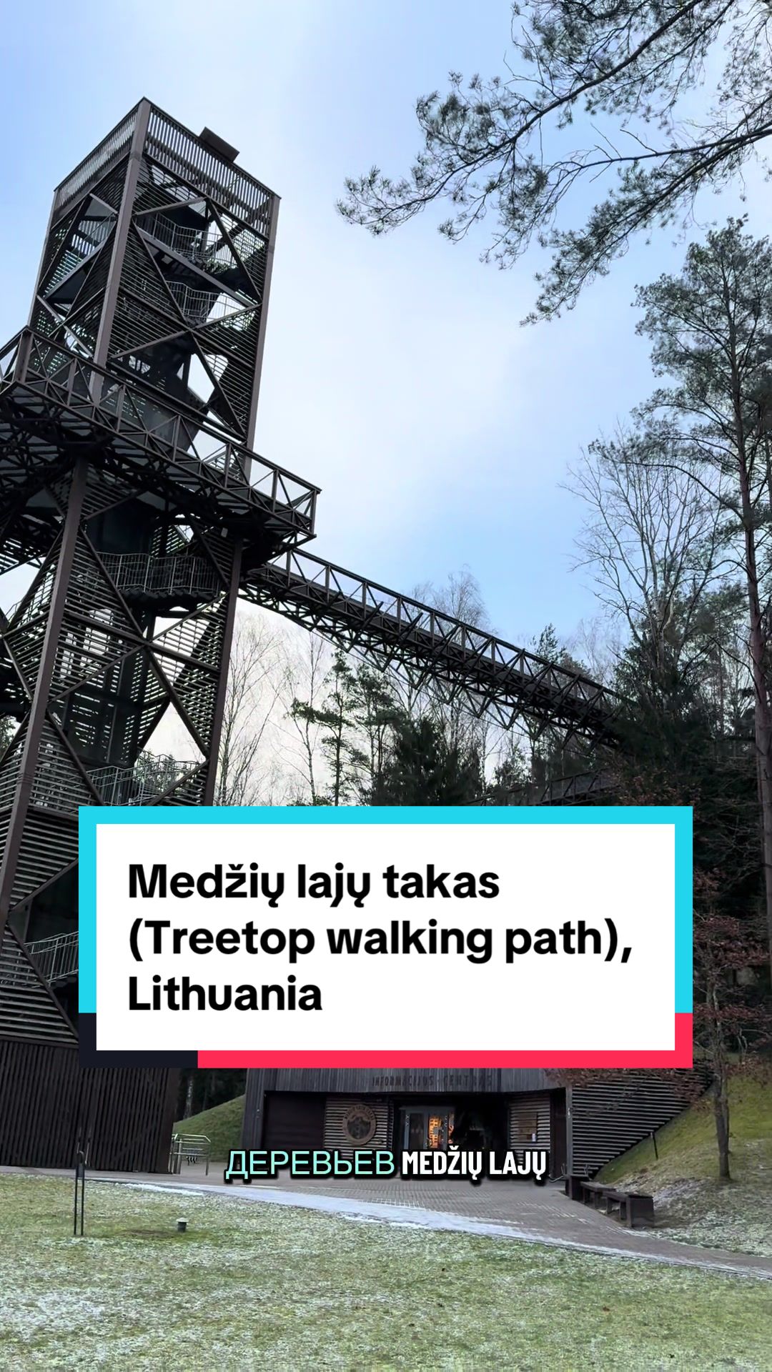 Аникщяй — тропа по верхушкам деревьев (Anykščiai Treetop Walking Path)