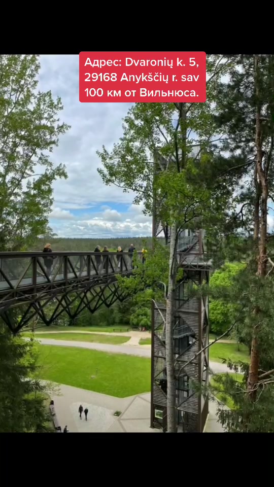 Аникщяй — тропа по верхушкам деревьев (Anykščiai Treetop Walking Path)