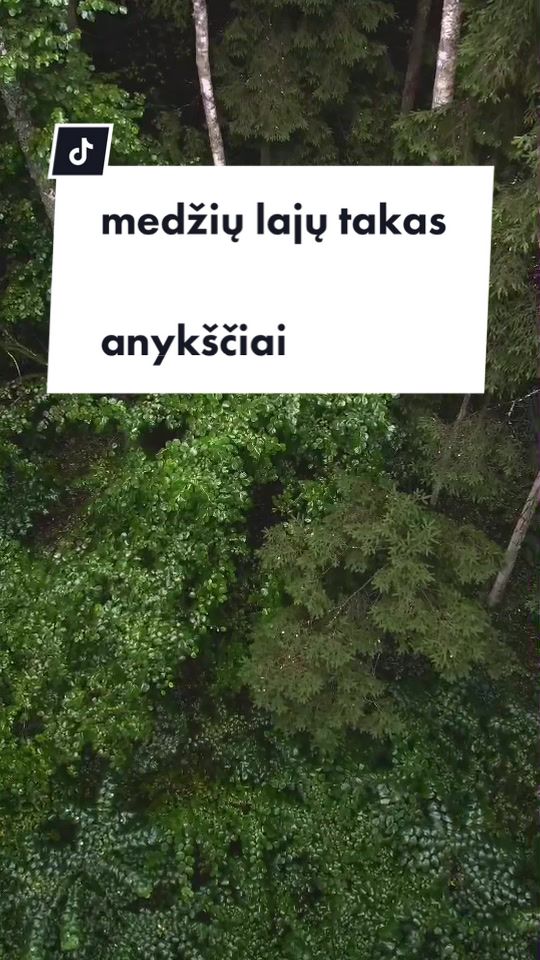 Аникщяй — тропа по верхушкам деревьев (Anykščiai Treetop Walking Path)