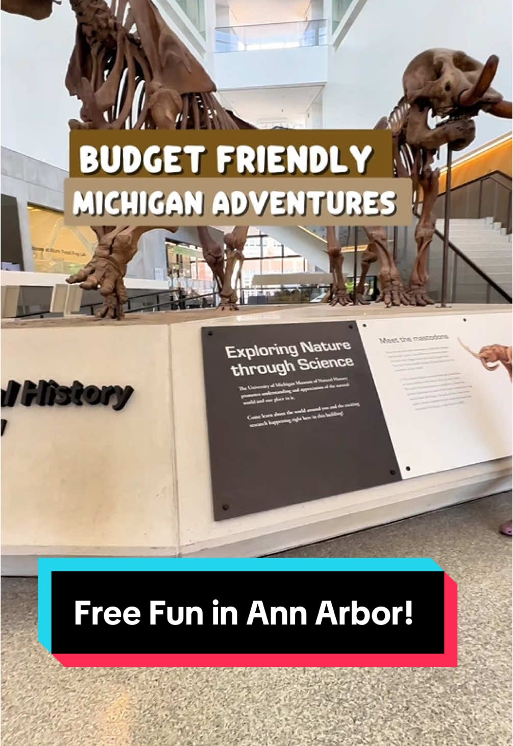 Ann Arbor (downtown, Nichols Arboretum, museums)