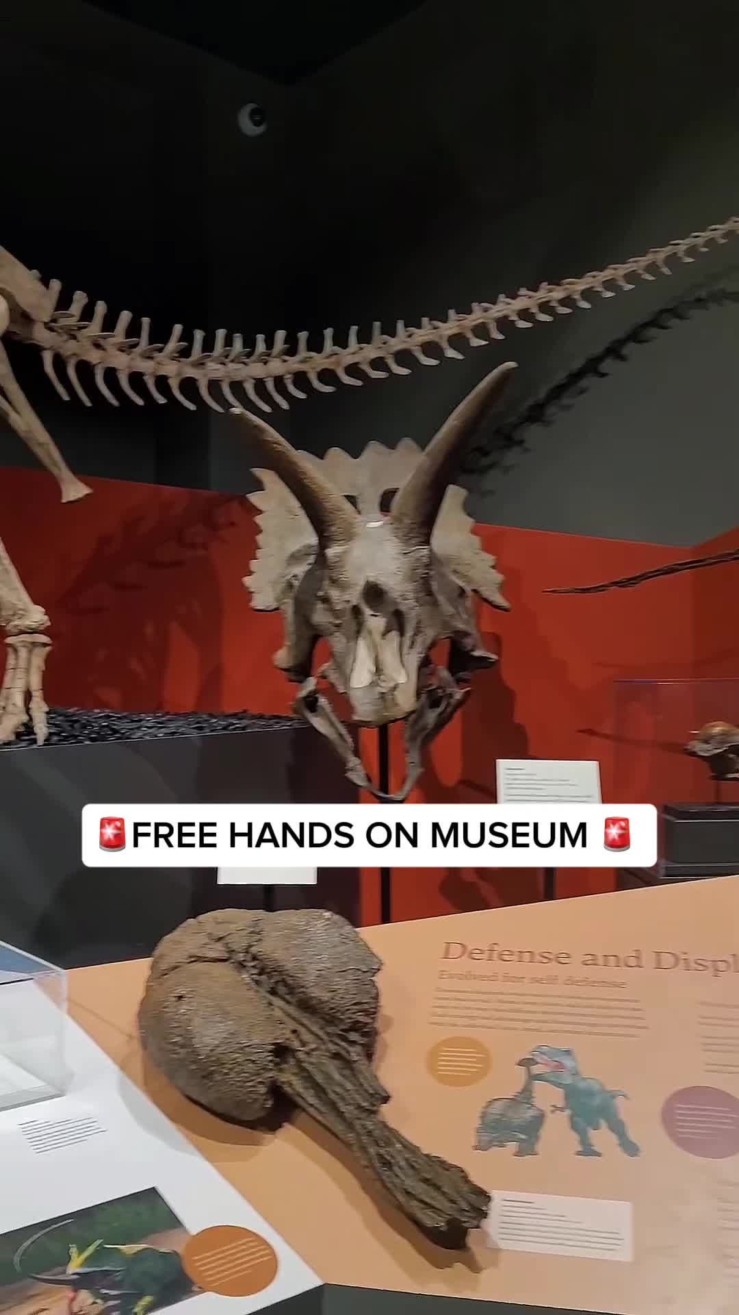 Ann Arbor Hands-On Museum