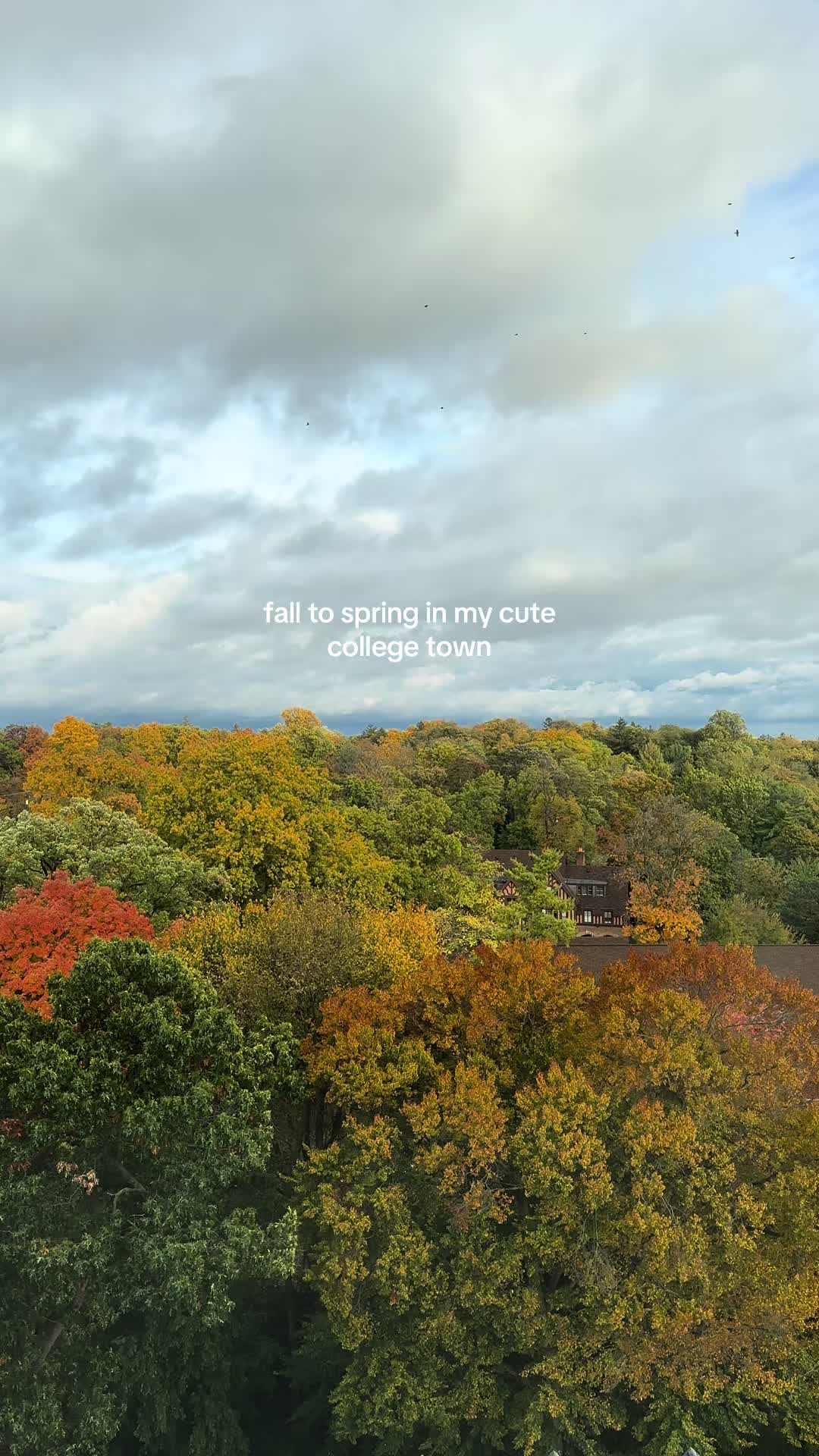 Ann Arbor, MI