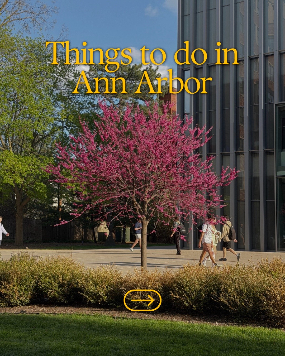 Ann Arbor, Michigan