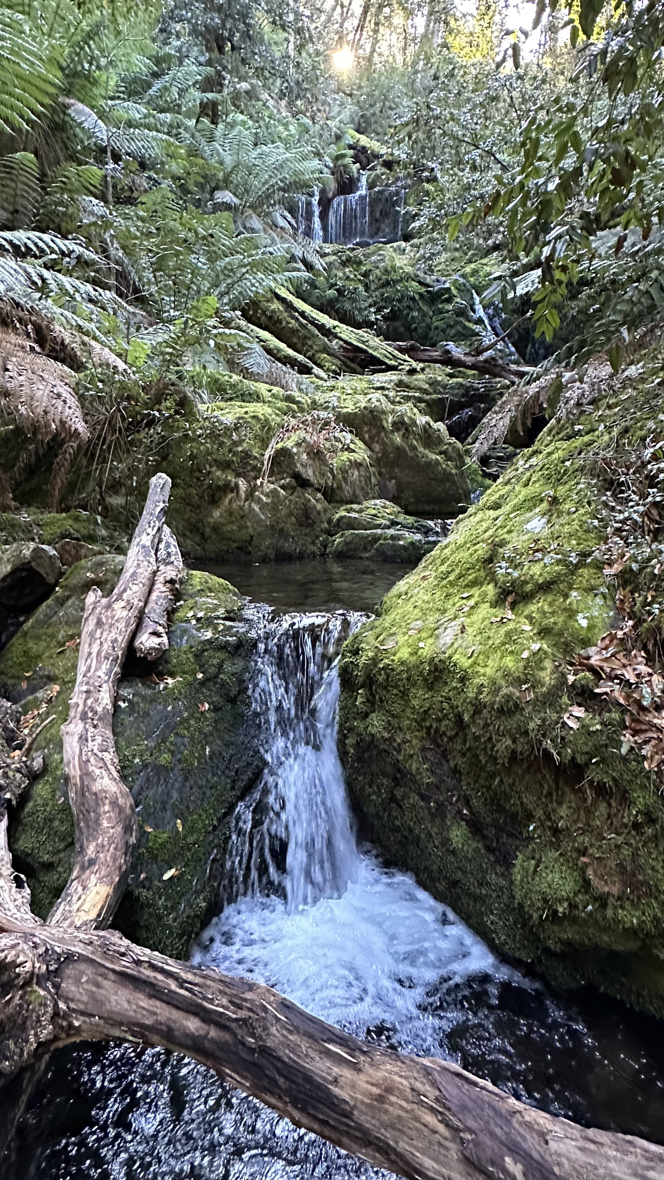 Armidale to Outback NSW Hikes & Adventure (2 weeks)