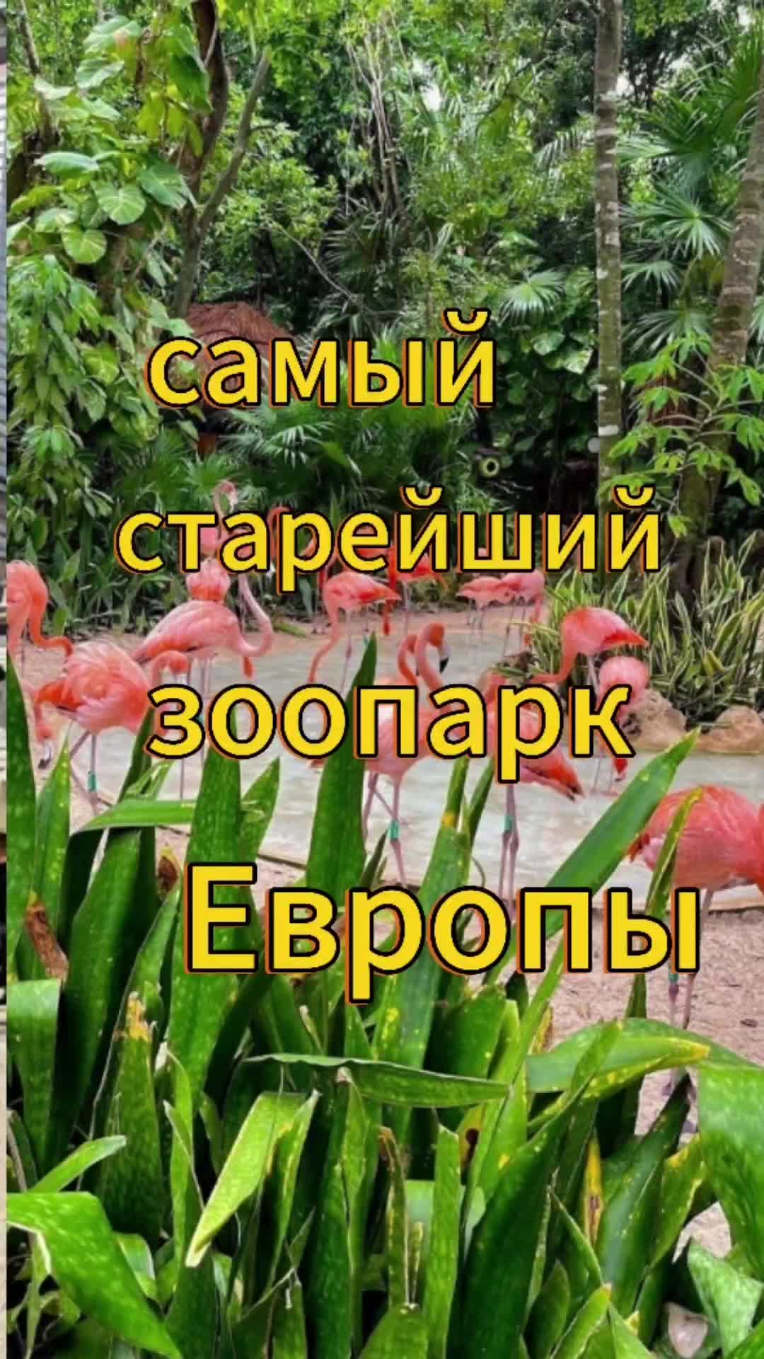Антверпен: Зоопарк Антверпена