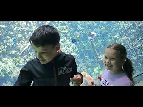 Антверпенский зоопарк (Antwerp Zoo)