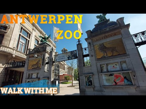 Антверпенский зоопарк (Antwerp Zoo)