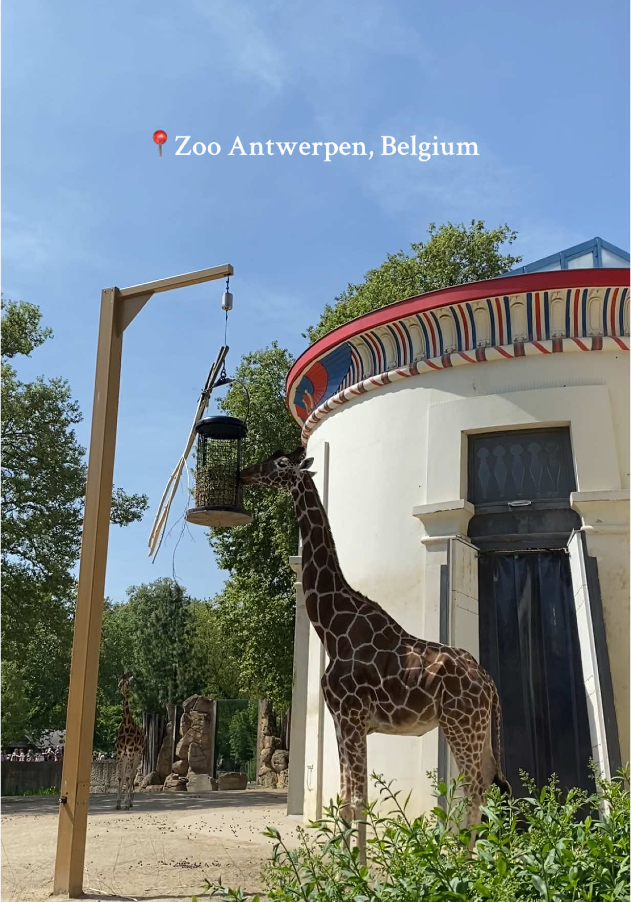Антверпенский зоопарк (Antwerp Zoo)