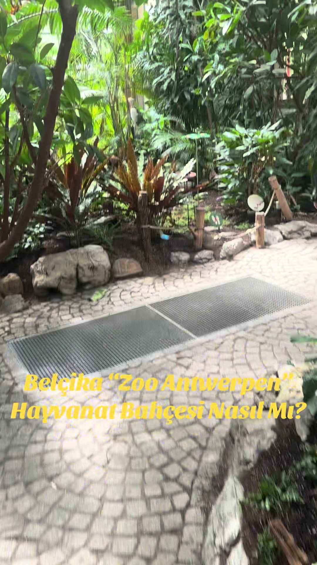 Антверпенский зоопарк (Antwerp Zoo)