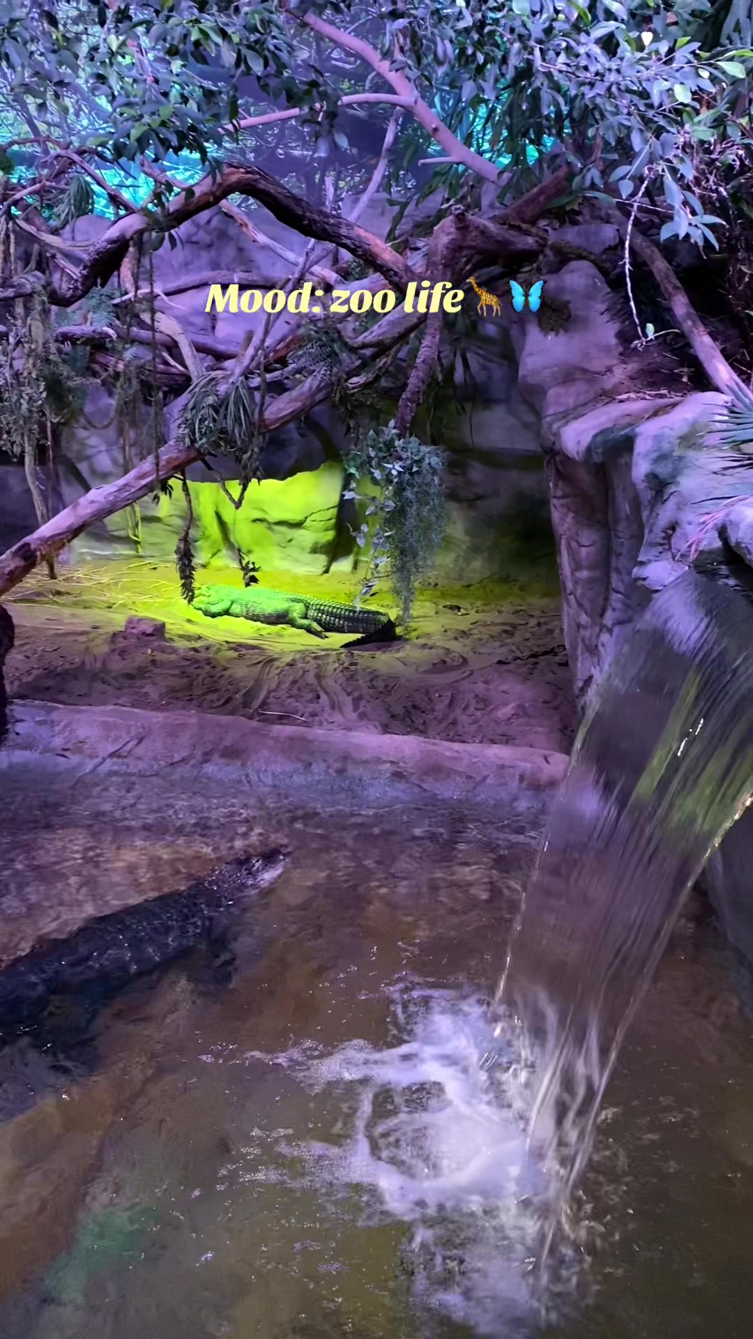 Антверпенский зоопарк (Antwerp Zoo)