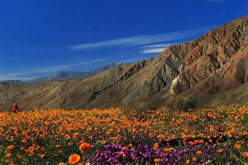 Anza-Borrego Desert State Park