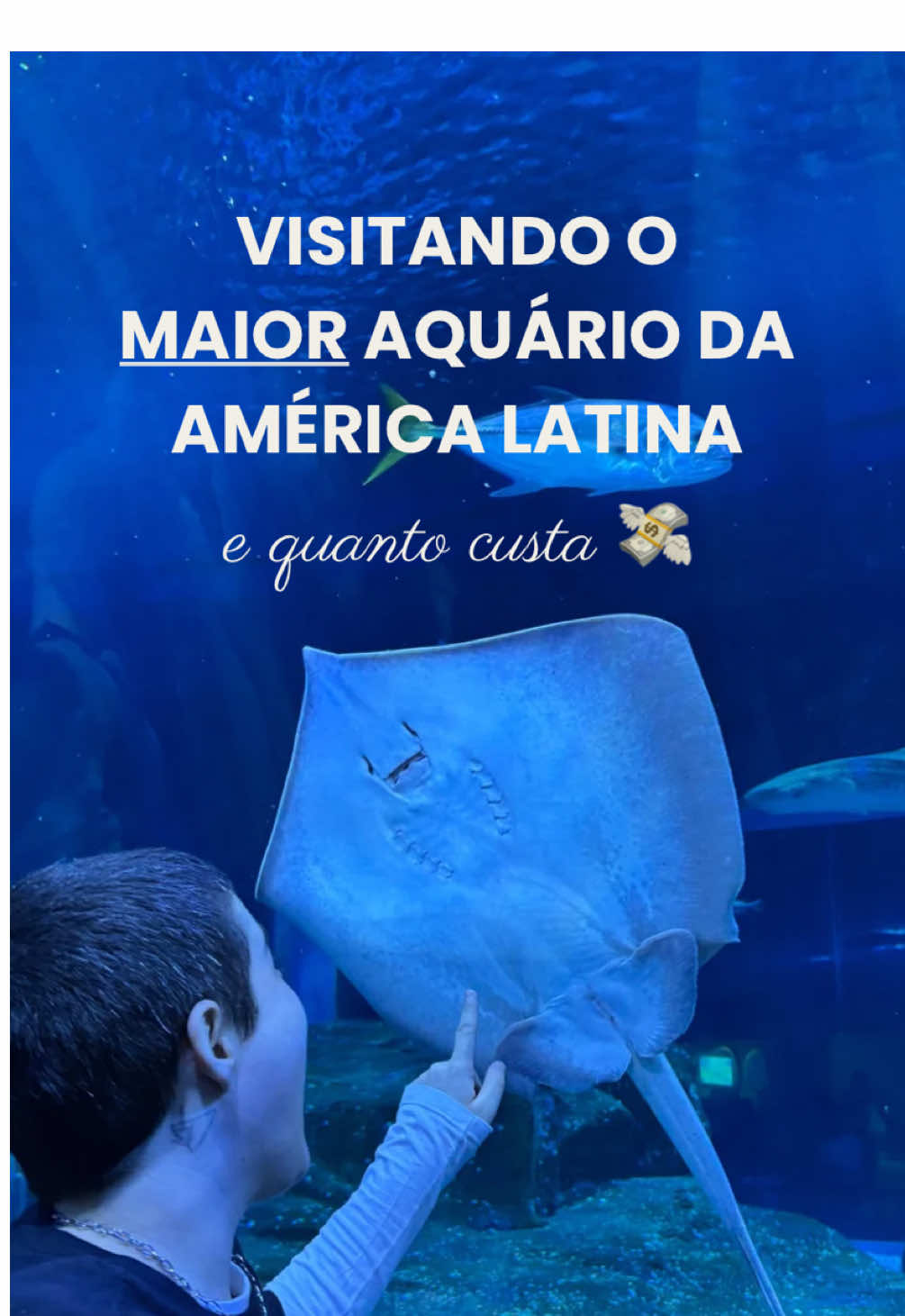 AquaRio - Aquário Marinho do Rio de Janeiro