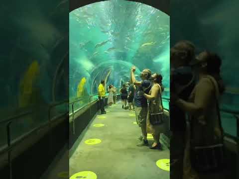 AquaRio - Aquário Marinho do Rio de Janeiro
