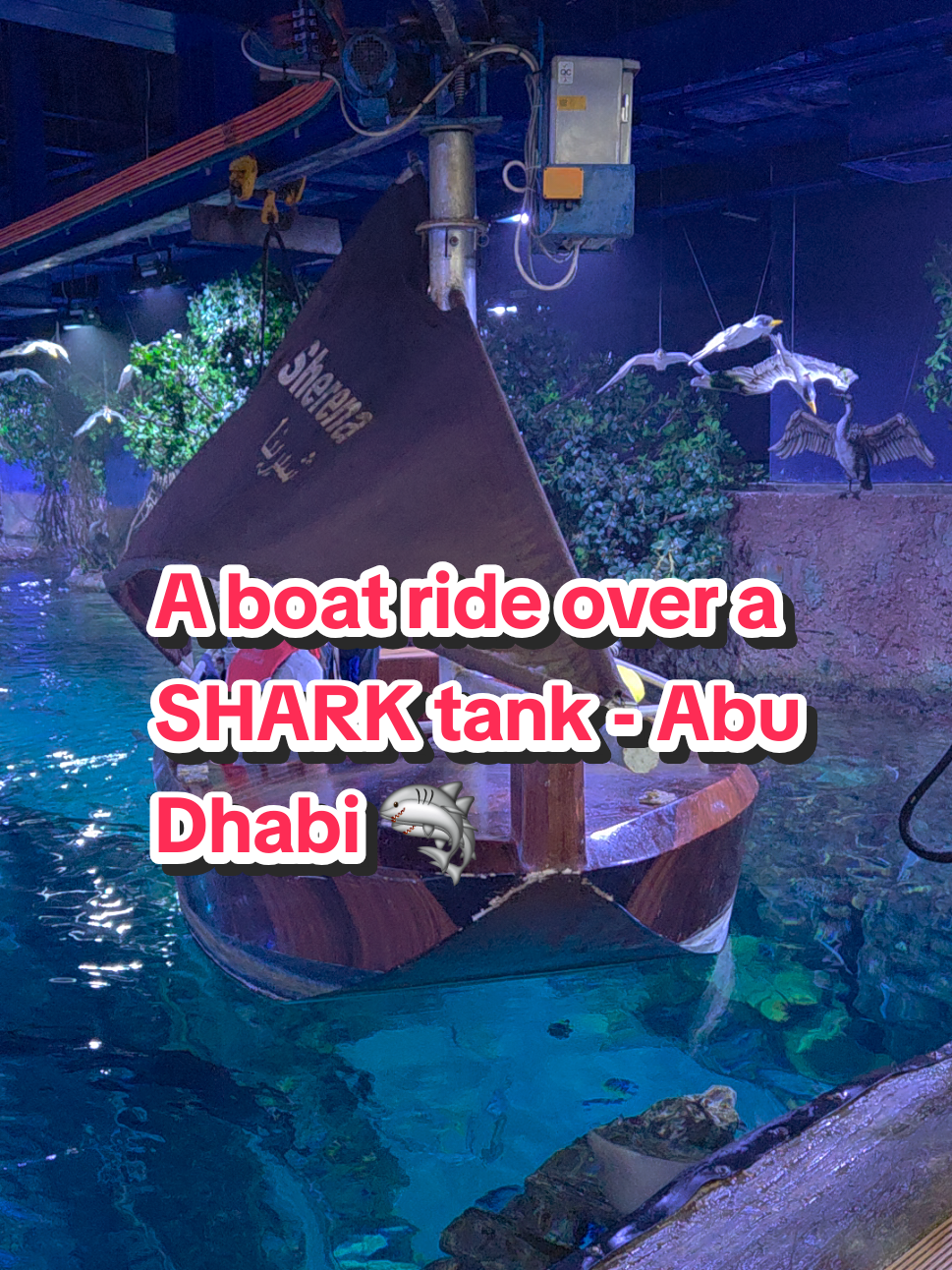 Aquarium The National Aquarium Abu Dhabi