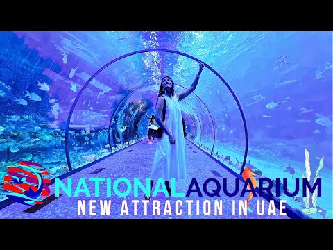 Aquarium The National Aquarium Abu Dhabi