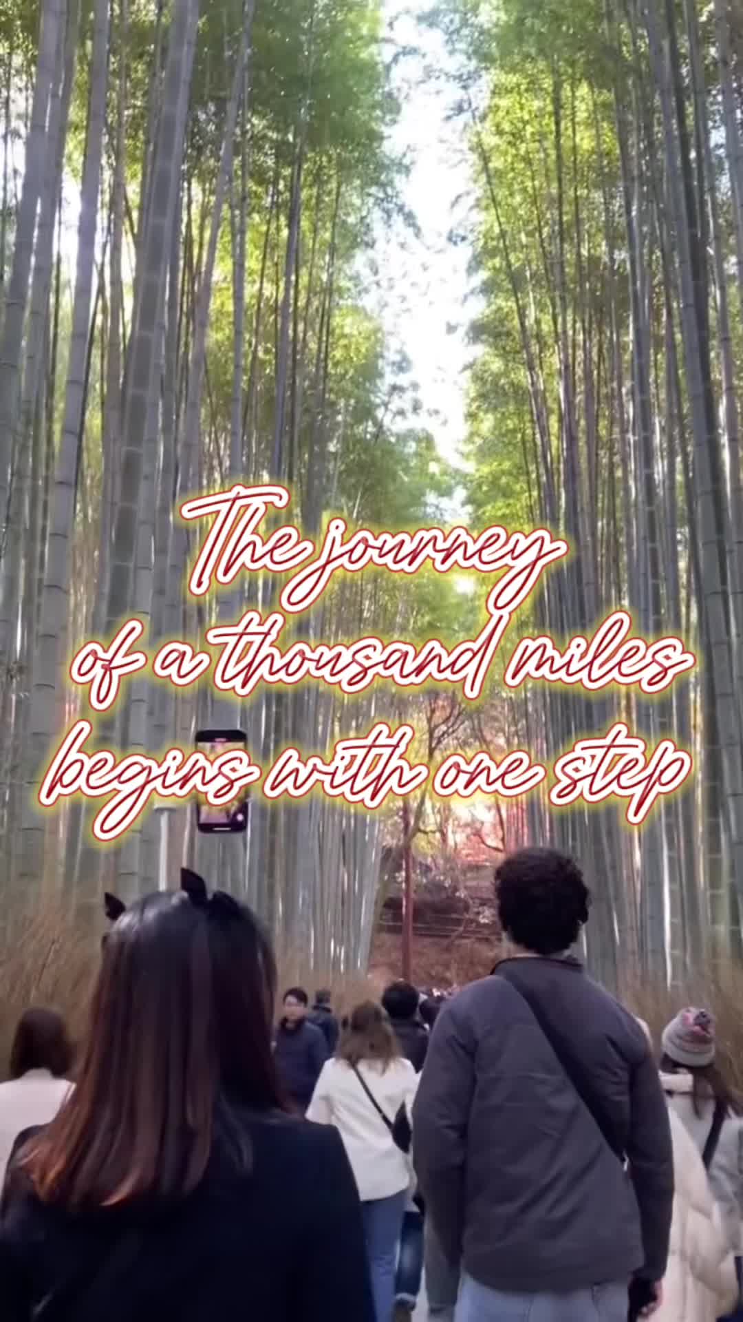 Arashiyama Bamboo Grove